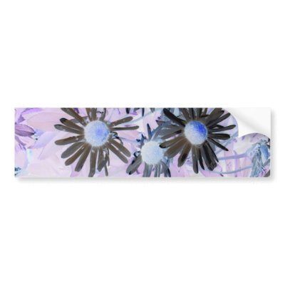 Daisy Bumper Stickers by NixxysPicks