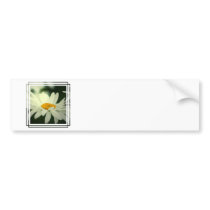 Daisy Bumper Stickers