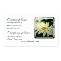 Daisy Business Card