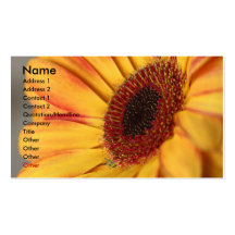 Daisy Business Card