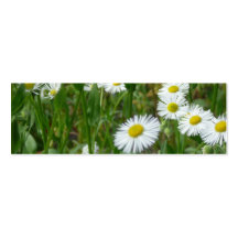 Daisy Business Card