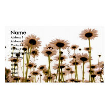 Daisy Business Card Templates