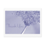 Daisy Butterflies ❉ Postcard