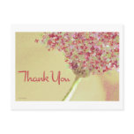 Daisy Butterflies ❉ Postcard