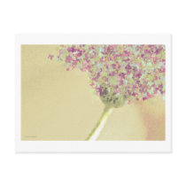 Daisy Butterflies ❉ Postcard