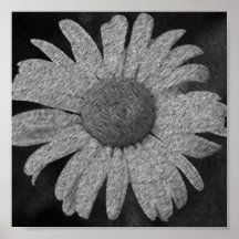 Daisy Canvas Print
