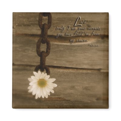 Daisy Chain Magnets by Back40_Fotos