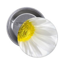 Daisy Close-Up Pinback Buttons