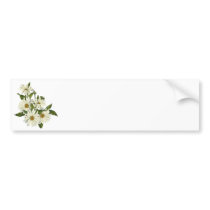 Daisy Cluster Bumper Stickers