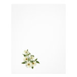 Daisy Cluster Personalized Letterhead