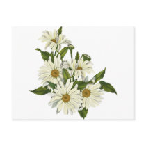 Daisy Cluster Post Cards
