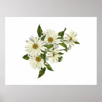 Daisy Cluster Posters