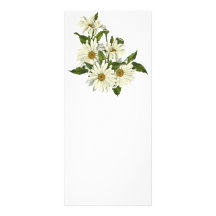 Daisy Cluster Rack Card