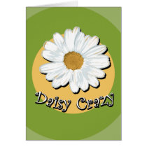 Daisy Crazy