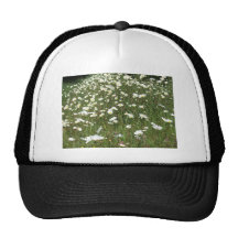 Daisy Crazy Mesh Hat