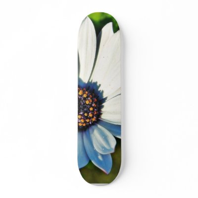 Daisy Daisies Flowers Petals Skate Board Decks by lifesphere