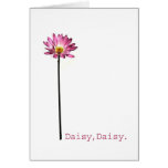 Daisy,Daisy Cards