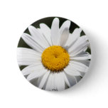 Daisy Darling Pins