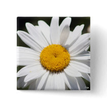 Daisy Darling Pinback Button