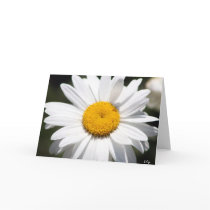Daisy Darling Card