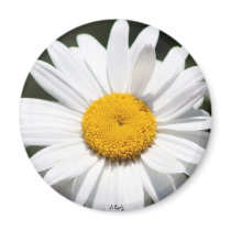 Daisy Darling Refrigerator Magnet