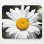 Daisy Darling Mouse Mats