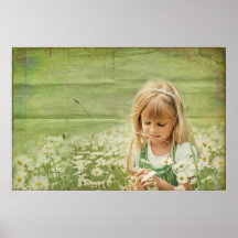 Daisy Daydreams Poster