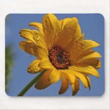 Daisy Dew Mouse Pad