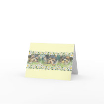 Daisy Dogs Yorkie Puppies Greeting Cards
