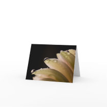 Daisy Droplets Greeting Card