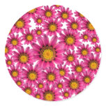 Daisy Envelope Seal Stickers