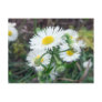 Daisy Fleabane Horizontal Postcard