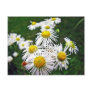 Daisy Fleabane Postcard