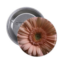 Daisy Flower Buttons