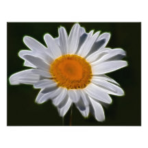 Daisy flower power invitation