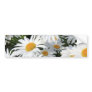 Daisy Flowers Growing White Bumper Stickers