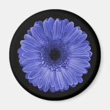 Daisy Fridge Magnets