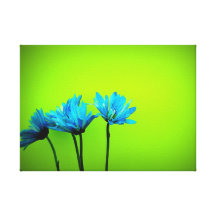 Daisy Gallery Wrap Canvas
