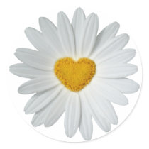 Daisy Heart