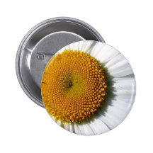 daisy in detail button