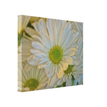 Daisy Love Gallery Wrap Canvas