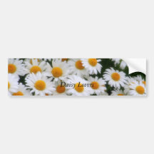 , Daisy Lovers Bumper Sticker