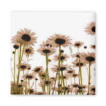 Daisy Fridge Magnet