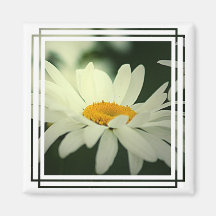 Daisy Magnet