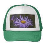 Daisy Mesh Hats