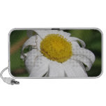 Daisy of Love Speakers