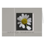 daisy on grey German sympathy card