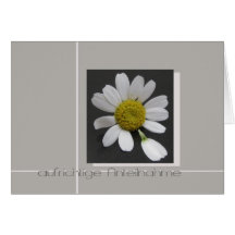 daisy on grey German sympathy card