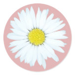 Daisy on Pink Flower Envelope Seal / Sticker