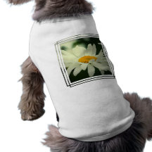 Daisy Pet Shirt